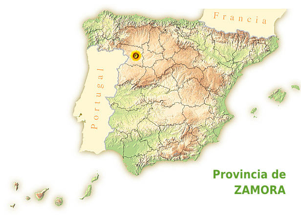 Municipios y Ayuntamientos de Zamora