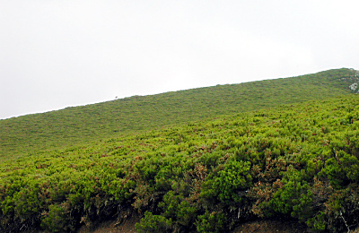 Sierra de Ancares
